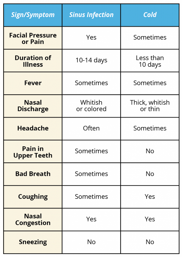 Sinus: Causes & Symptoms