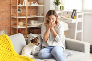 Reduce Indoor Allergies